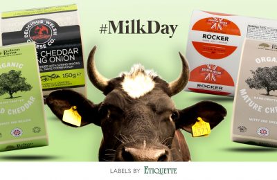 Let’s celebrate Milk Day with some…cheese!